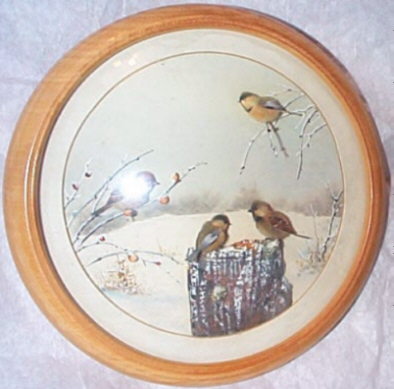 Purple Finch Chickadees and House Sparrow (7-inch)